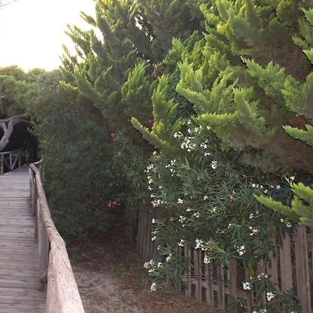 Muy Cerca De La Playa. Primera Linea. Leilighet Rota Eksteriør bilde